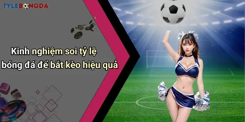 Kinh nghiệm soi tỷ lệ bóng đá để bắt kèo hiệu quả