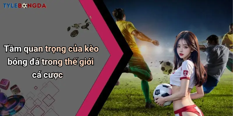 Tầm quan trọng của kèo bóng đá trong thế giới cá cược