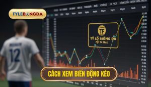 Cách xem biến động kèo