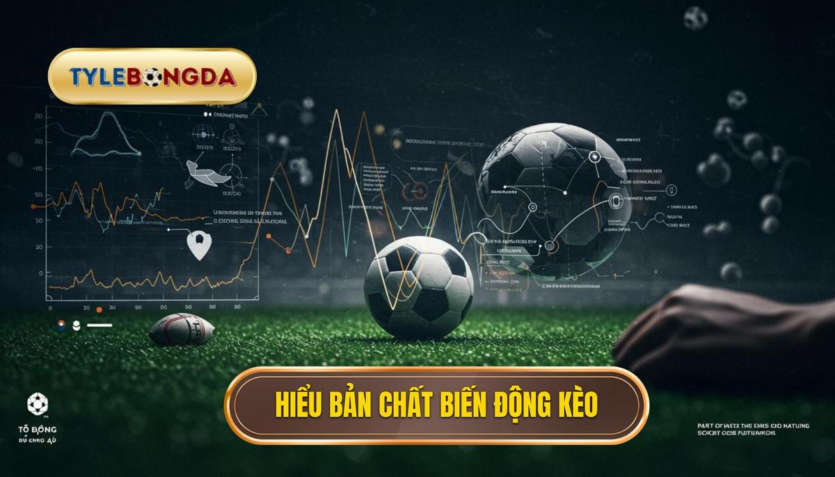 Phần 1_ Hiểu Rõ Bản Chất Của Biến Động Kèo