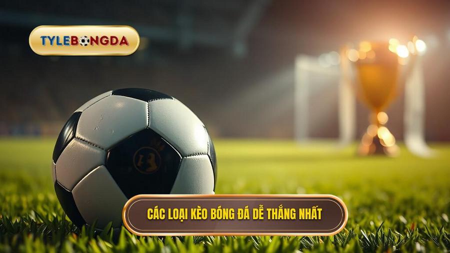 Các loại kèo bóng đá dễ thắng nhất hiện nay